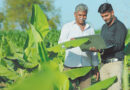 कृषि स्नातकों के लिए रोजगार के अवसर