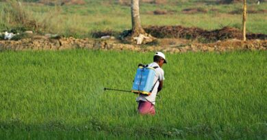 कृषि कर्मण अवॉर्ड के लिए अन्नदाता का सम्मान