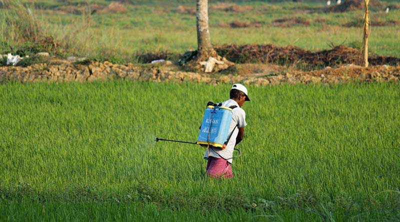 राजस्थान सरकार ने सैंपल रिपोर्ट के आधार पर कृषि रसायन कंपनियों का किया वर्गीकरण
