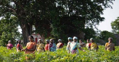 क्या भारत में शून्य बजट प्राकृतिक खेती करना टिकाऊ और लाभदायक होगा?