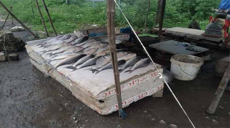 मत्स्य विभाग ने अवैध शिकार की गई 85 किलो मछली पकड़ी