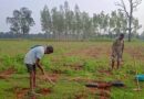 मुख्यमंत्री वृक्ष सम्पदा योजना से किसानों की आय हो रही दोगुनी, अभी तक 23 हजार से अधिक किसान करा चुके रजिस्ट्रेशन