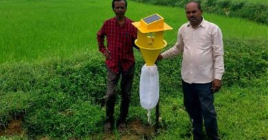 बालाघाट जिले में धान किसान कर रहे सोलर लाइट ट्रेप का उपयोग