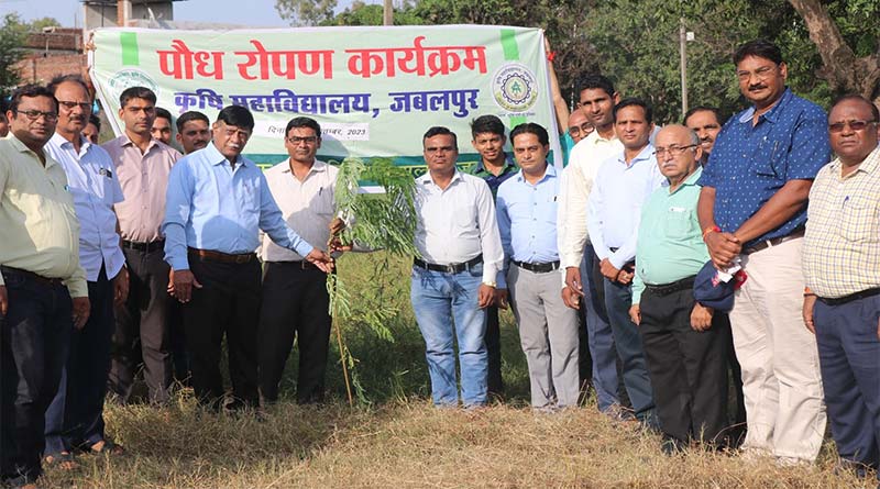 जवाहरलाल नेहरू कृषि विश्वविद्यालय में वृहद् स्तर पर वृक्षारोपण