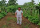 ड्रैगन फ्रुट की खेती कर किसानों के लिये प्रेरणा बन रहे है बालाघाट के भूपेन्‍द्र