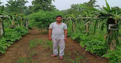 ड्रैगन फ्रुट की खेती कर किसानों के लिये प्रेरणा बन रहे है बालाघाट के भूपेन्‍द्र