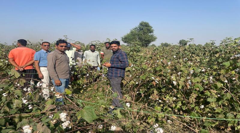 राजस्थान में फसल कटाई प्रयोगों का कृषि विभाग के संयुक्त निदेशक ने किया निरीक्षण