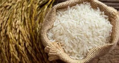 छत्तीसगढ़ में राईस मिलर्स ने नही कराया चावल जमा, बैंक गारंटी के लगभग 3 करोड़ रूपये को किया गया राजसात