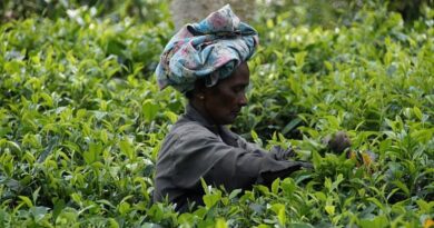 भारतीय किसानों को श्रीलंकाई किसानों से क्या सीखना चाहिए?