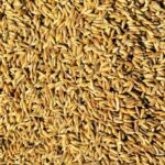 कलेक्टर ने दो समिति प्रबंधकों को दिया नोटिस