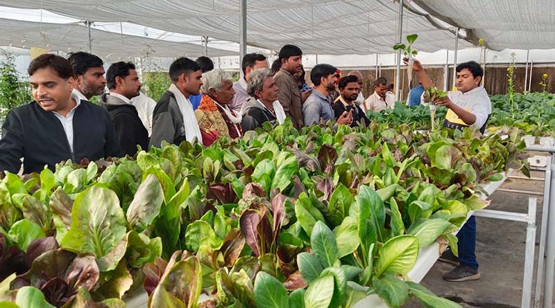 राजस्थान मे रिलांयस फांउडेशन व सब्जी उत्कृष्टता केंद्र ने सब्जी उत्पादन को बढ़ावा देने हेतु किया प्रशिक्षण कार्यक्रम का आयोजन