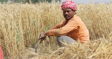 अमीर किसानों पर टैक्स लगा सकती हैं सरकार; एपीएमसी सदस्य ने दी जानकारी