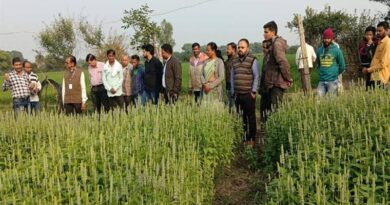 औषधि पौधों की खेती विषय पर कृषकों को दिया प्रशिक्षण