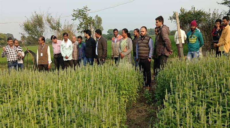 औषधि पौधों की खेती विषय पर कृषकों को दिया प्रशिक्षण