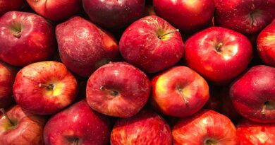 सेब के रोगों के नियंत्रण के लिए कृषि रसायन स्प्रे अनुसूची 2024