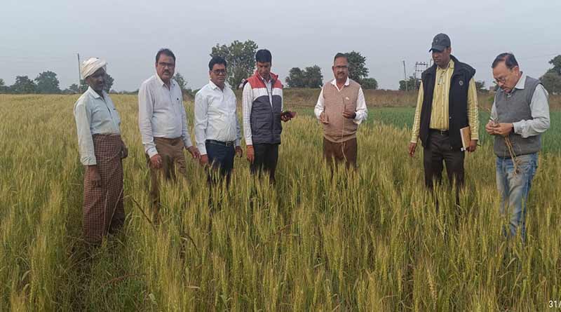 डायग्नोस्टिक टीम ने किया फसलों का निरीक्षण, किसानों को दी उचित सलाह