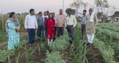 मध्य प्रदेश : नरसिंहपुर कलेक्टर ने रबी फसलों का अवलोकन किया 