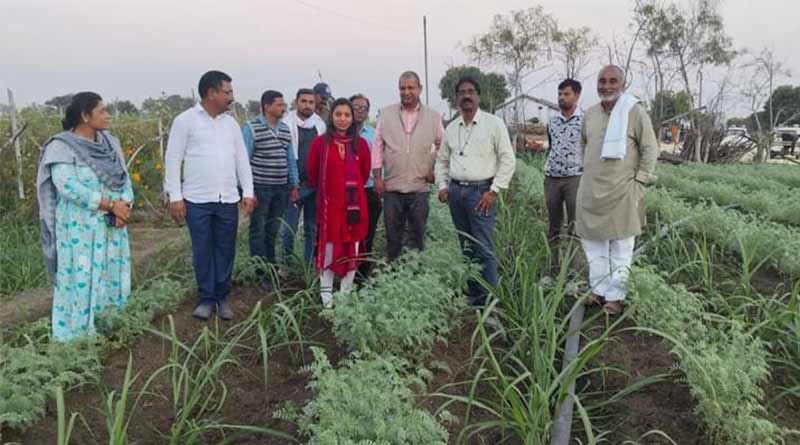 मध्य प्रदेश : नरसिंहपुर कलेक्टर ने रबी फसलों का अवलोकन किया 