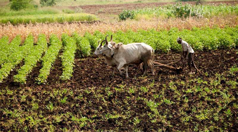 किसान सम्मान निधि योजना के 5 साल : किसानों का आर्थिक उन्नयन सरकार का लक्ष्य