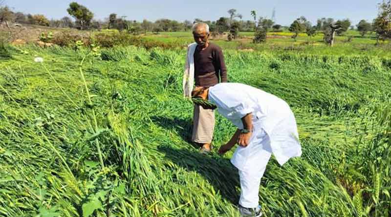 सभी गाँवों में क्षतिग्रस्त फसलों का शीघ्र सर्वे कराएं - केन्द्रीय मंत्री डा. वीरेन्द्र कुमार