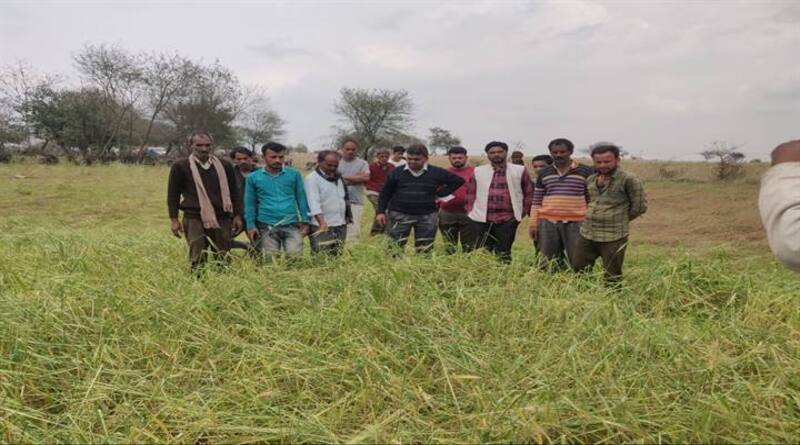 अशोकनगर जिले के प्रभावित कृषकों को जल्द मिलेगी राहत राशि