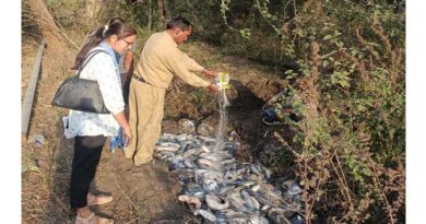 इंदौर में मत्स्य विभाग ने 6 क्विंटल थाईलैंड मांगुर मछली नष्ट की  