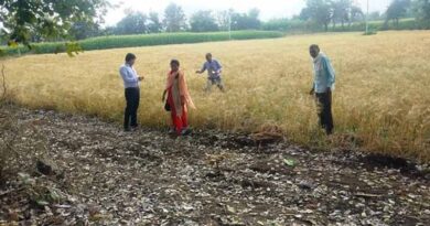 बुरहानपुर जिले में राजस्व अधिकारियों ने लिया फसल नुकसानी का जायजा