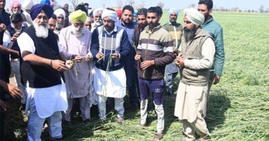 हरियाणा में ओलावृष्टि से फसल को नुकसान; किसान सभा द्वारा 50 हजार रुपये एकड़ मुआवजे की मांग
