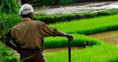 कृषि आय स्लैब का प्रस्ताव: संसदीय पैनल ने उच्च आय वाले मामलों में कृषि और गैर-कृषि आय में अंतर करने का सुझाव दिया