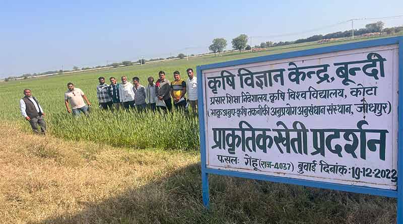 राजस्थान में प्राकृतिक खेती पर दो दिवसीय प्रशिक्षण हुआ संपन्न