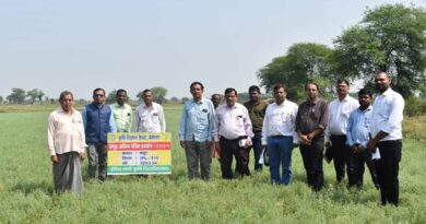 इंदिरा गांधी कृषि विवि, रायपुर के वैज्ञानिकों ने किया फसल प्रदर्शन का निरीक्षण