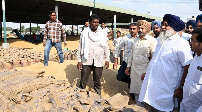 आप सरकार ने पंजाब की कृषि अर्थव्यवस्था को बर्बाद कर दिया है: शिरोमणि अकाली दल