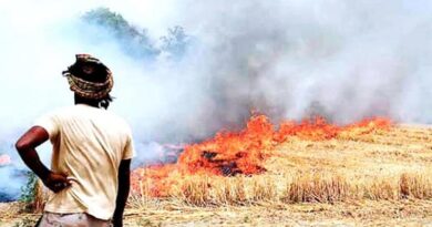 इंदौर जिले के किसानों से अपील, नरवाई न जलाएं