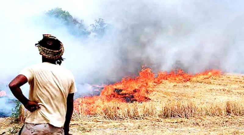 इंदौर जिले के किसानों से अपील, नरवाई न जलाएं