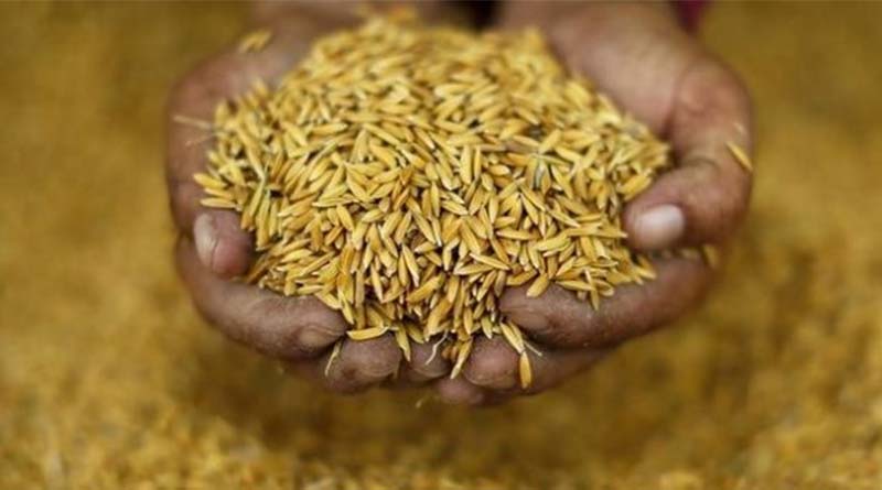 बासमती चावल ने तोड़ा निर्यात का रिकॉर्ड, और बढ़ सकता है एक्सपोर्ट