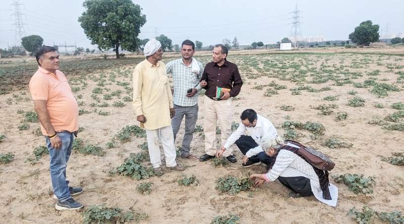 कृषि विज्ञान केन्द्र, गुरुग्राम ने आयोजित किया बीज उपचार अभियान