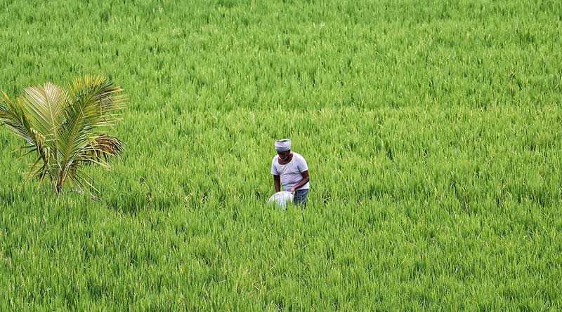 अल्पकालीन फसल ऋण की देय तिथि 31 मई तक बढ़ाई