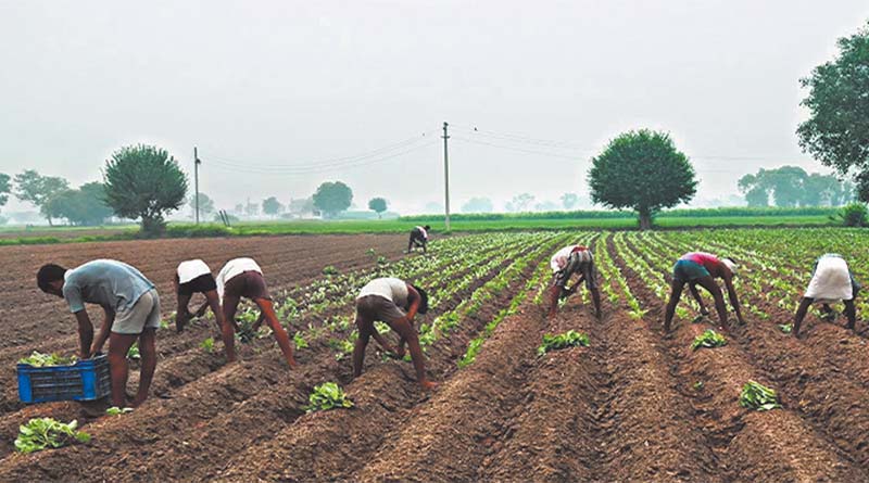 कृषि चुनौतियों से निपटने के लिए किसान मजदूर आयोग (केएमसी) का गठन