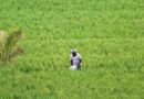 खेत बटाई पर GST विवाद: एक बार फिर से खुला