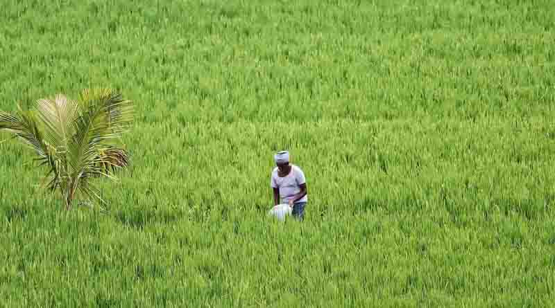 खेत बटाई पर GST विवाद: एक बार फिर से खुला