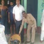 सीधी में प्रतिबंधित थाई मांगुर मछली जब्त