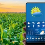 मौसम एप से समय पर मिलेगी मौसम की सटीक जानकारी- उप संचालक कृषि सिंधी