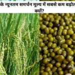 धान और मूंग के न्यूनतम समर्थन मूल्य में सबसे कम बढ़ोतरी, जानिए ऐसा क्यों?
