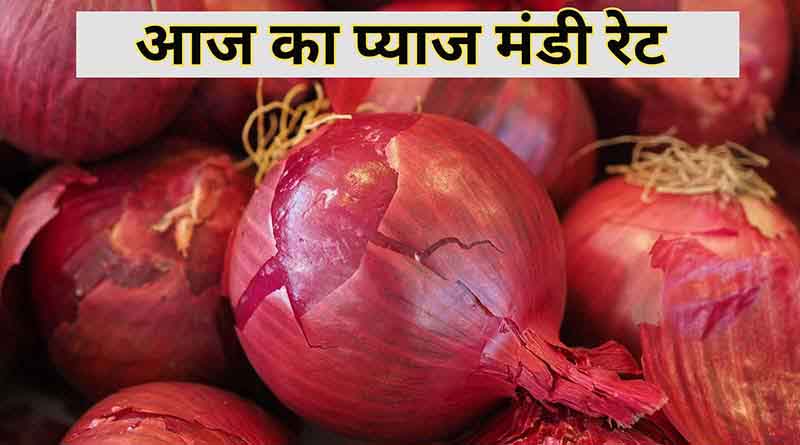 आज का प्याज मंडी रेट (02 जुलाई 2024 के अनुसार)
