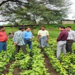 झाबुआ में किसानों को दी समसामयिक सलाह