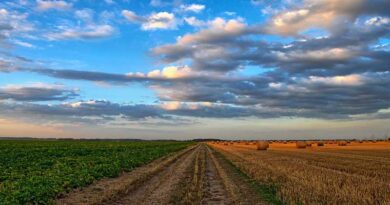 मध्यप्रदेश भूमि स्वामी बटाईदारों के हित संरक्षण अधिनियम 2016 के नियम लागू
