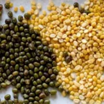 कटनी जिले में ग्रीष्मकालीन मूंग व उड़द के उपार्जन हेतु बनाए 11 खरीदी केंद्र