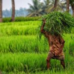 यूपी सरकार की कृषि यंत्र सब्सिडी योजना, आप भी ले सकते है लाभ