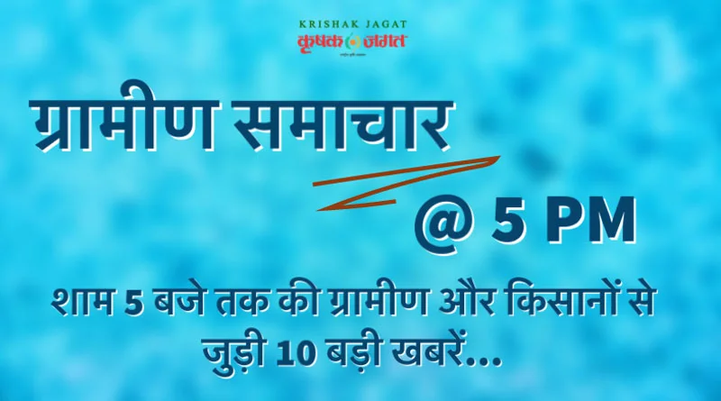 ग्रामीण समाचार@ 5.00 PM: धान में तना छेदक कीट I प्राकृतिक खेती I फसल ऋण I ग्वार फसल I पशु सेवा रथ