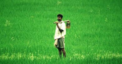 बैतूल जिले में कृषक पुरस्कार हेतु 30 अगस्त तक आवेदन आमंत्रित